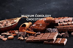 Vstup do Muzea čokolády Chocotopia s ochutnávkou