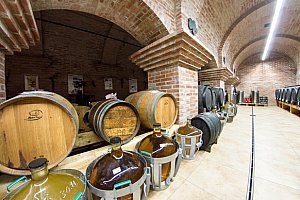 Stylový penzion na Moravě s polopenzí a možností degustace vína pro dva