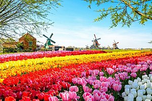 Zájezd do Amsterdamu i květinového parku Keukenhof