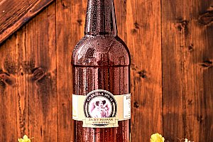 Lahev řemeslného piva Gabriela IPA 14 PET 1,5L
