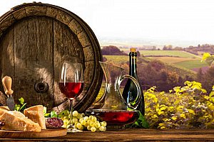 Penzion "V Zahraničí" na Jižní Moravě s neomezenou konzumací vína