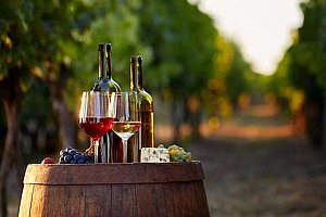 Vinařský pobyt s neomezenou konzumací a degustací ve Vinařství Lintner