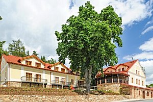 Jižní Čechy: Dovolená blízko Tábora v Hotelu Gold Chotoviny **** se snídaní a privátní vířivkou se sektem