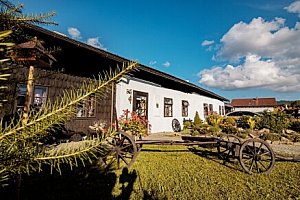 Šumava blízko skiareálů: Penzion Sněžná ve stylových pokojích se snídaní/polopenzí + využití lednice a konvice