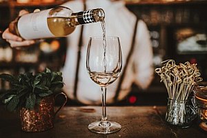 Jižní Morava jen 10 minut chůze od zámku Lednice: Pobyt v Penzionu Myslivna se snídaní či polopenzí a vínem