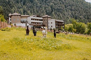 Dovolená pro celou rodinu v Jižním Tyrolsku: 4* Hotel Bergschlössl se snídaní/polopenzí a wellness + miniklub