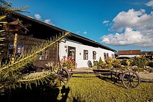 Národní park Šumava v Penzionu Sněžná ve stylových pokojích se snídaní/polopenzí a využitím lednice a konvice