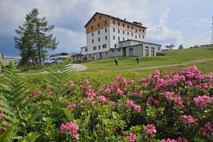 Rakouské Alpy: Léto v Hotelu Tauplitzalm *** s polopenzí, saunami, výletním vláčkem a vyžitím + dítě zdarma