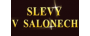 salon-slevy-logo