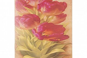 Obraz na stěnu - Růžové tulipány