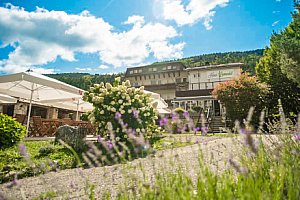 Rakousko: Hotel Haus Lavendel u jezera se soukromou pláží a polopenzí