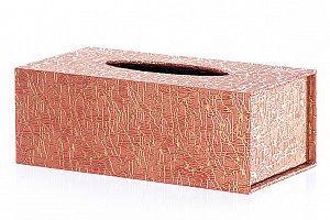 Krabička na papírové kapesníky Zlaté dekorace