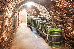 Jižní Morava: vinařský pobyt s polopenzí v Penzionu Mlýn Bořetice