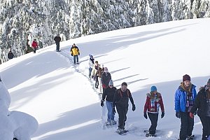 Celodenní dobrodružná výprava na sněžnicích - staňte se na jeden den zimním dobrodruhem!