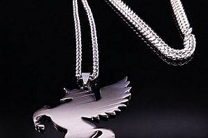 Stříbrný náhrdelník létající Pegas z chirurgické oceli PN0000146