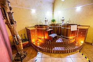Jižní Čechy: LH Hotel Dvořák Tábor **** s wellness či pivní koupelí + polopenze