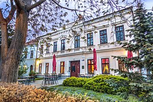 Jižní Morava: Hotel Drnholec *** s polopenzí + neomezené víno a privátní lázně