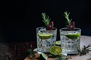 Domácí degustace ginu + 4 vzorky + prémiový tonic