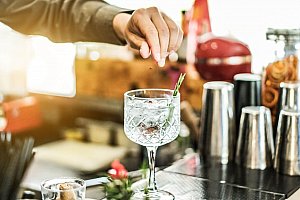 Řízená degustace ginu a párování Gin a Tonic v Praze