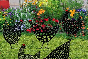 Zahradní dekorace Chicken a poštovné ZDARMA!